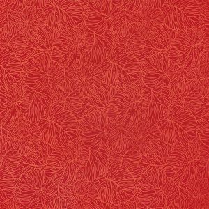 fn170720_red
