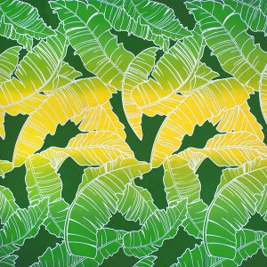 fn170801_green-yellow