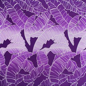 fn170801_puple