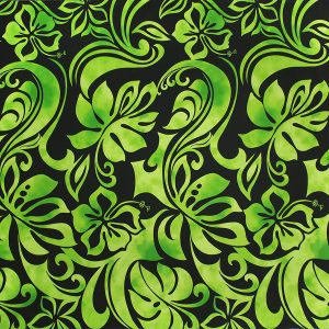 fn170803_black-green