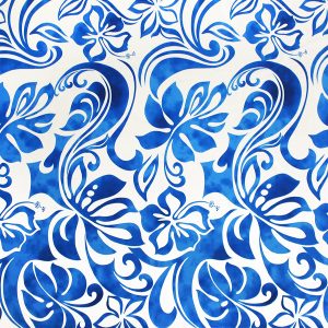 fn170803_white-blue