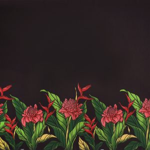 fn170805_black
