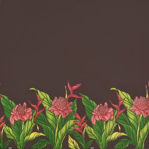 fn170805_brown