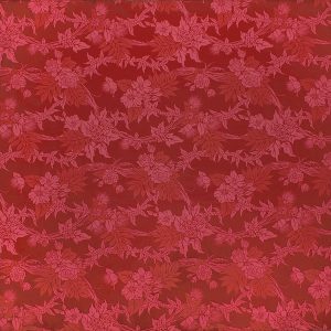 fn170808_red