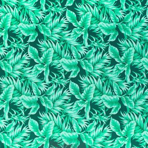 fn170901_green