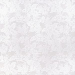 fn171115_white