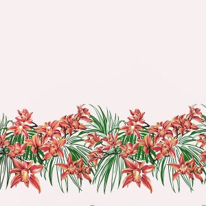 fn171116_Nature