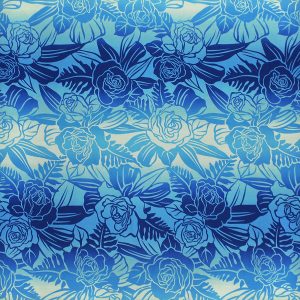 fn180606_blue
