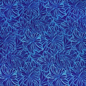 fn180807_blue