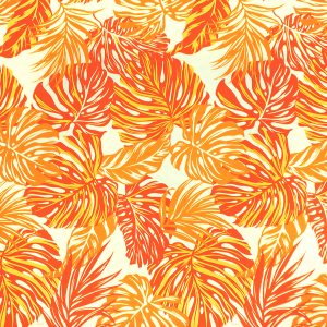 fn180808_orange