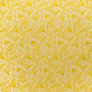 fn180809_yellow